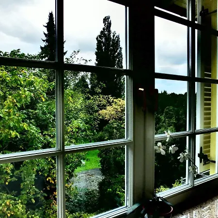 Weingut Und Haus Am Drachenloch فندق باد هونيف ام راين