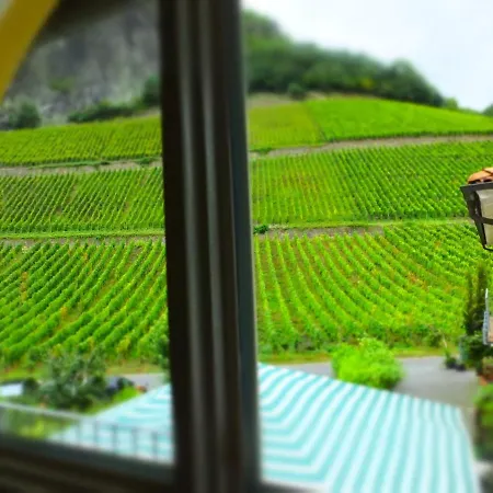 فندق Weingut Und Haus Am Drachenloch باد هونيف ام راين