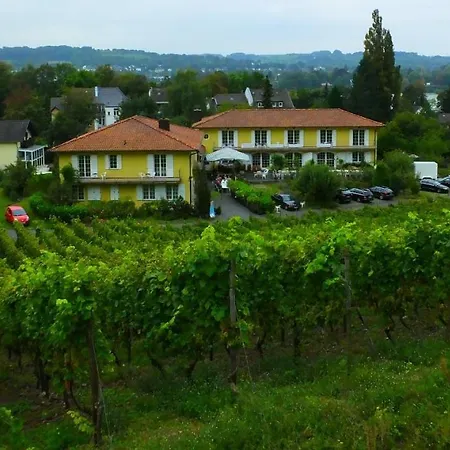 Weingut Und Haus Am Drachenloch 2* باد هونيف ام راين