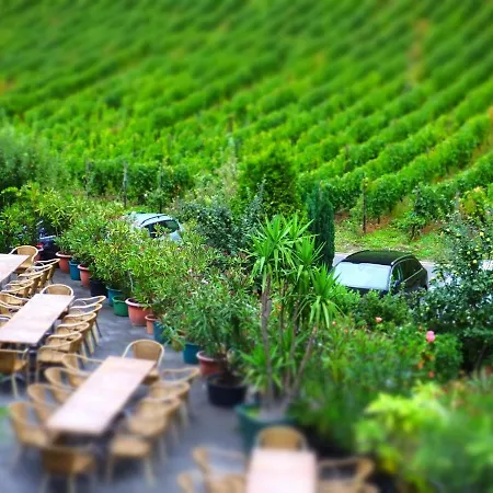 Weingut Und Haus Am Drachenloch