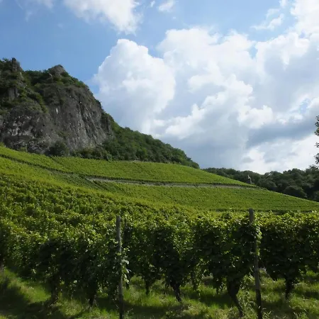 Weingut Und Haus Am Drachenloch فندق 2*