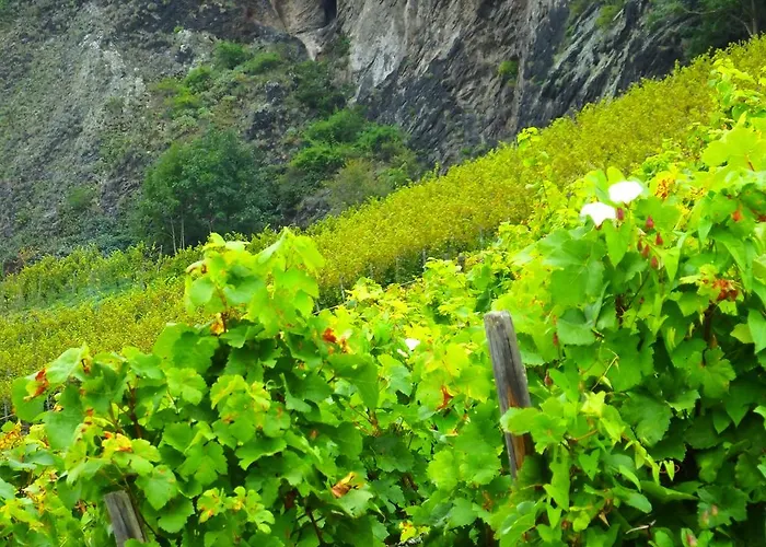 Weingut Und Haus Am Drachenloch