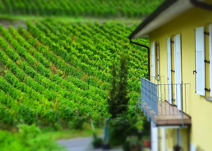 Weingut Und Haus Am Drachenloch 2*