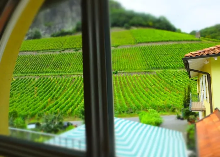 Hotel Weingut Und Haus Am Drachenloch Bad Honnef