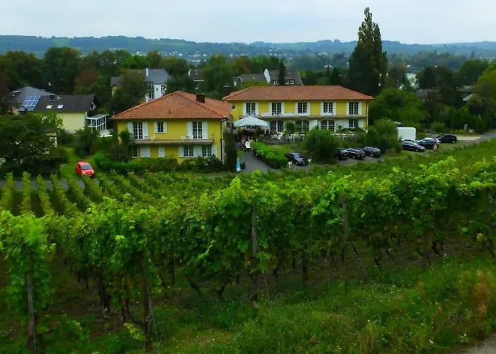 Weingut Und Haus Am Drachenloch 2* Bad Honnef