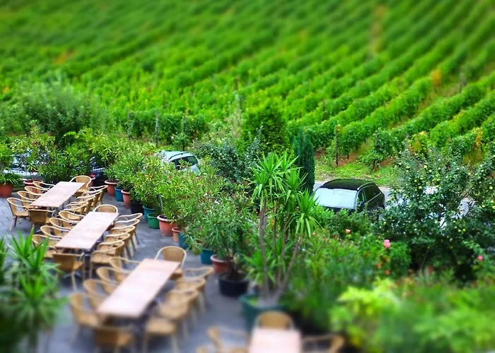 Weingut Und Haus Am Drachenloch