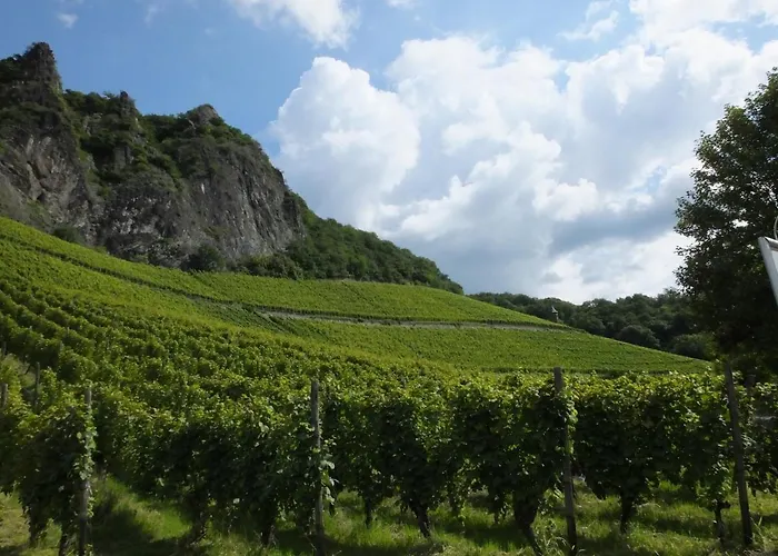 Weingut Und Haus Am Drachenloch Hotel 2*
