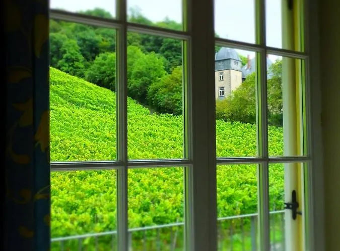 Weingut Und Haus Am Drachenloch